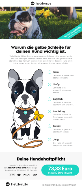 Infografik zur gelben Schleife