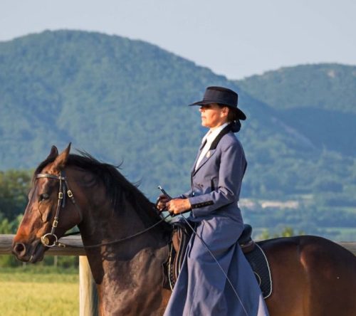 Bea Borelle reitet auf Pferd