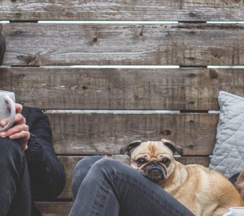 Freunde mit Hund sitzen auf Boden