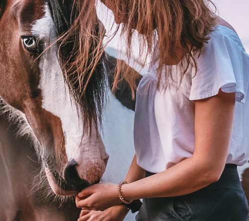 Pferd mit Mädchen im weißen T-Shirt