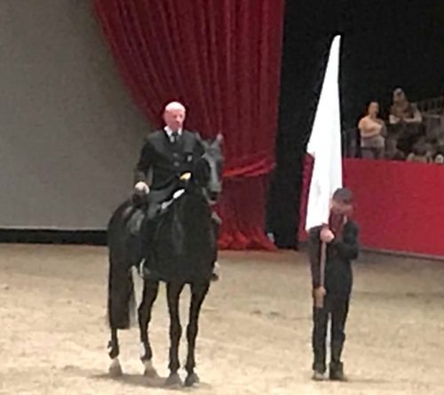 Philippe Karl in der Halle auf dem Pferd