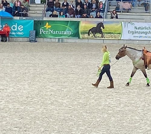 Showarena mit Pferd und Pferdetrainerin