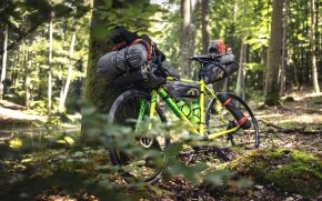 Bikepacking Rad im Wald