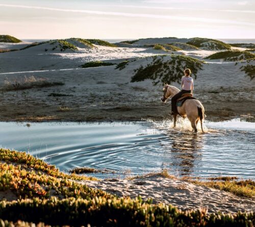 magazin_hero_reiten-durch-wasser