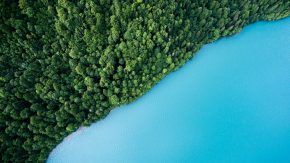 Wald und blauer See