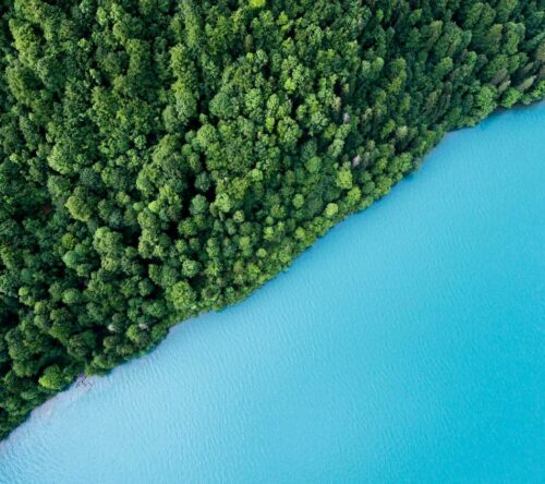 magazin_hero_wald-und-blauer-see